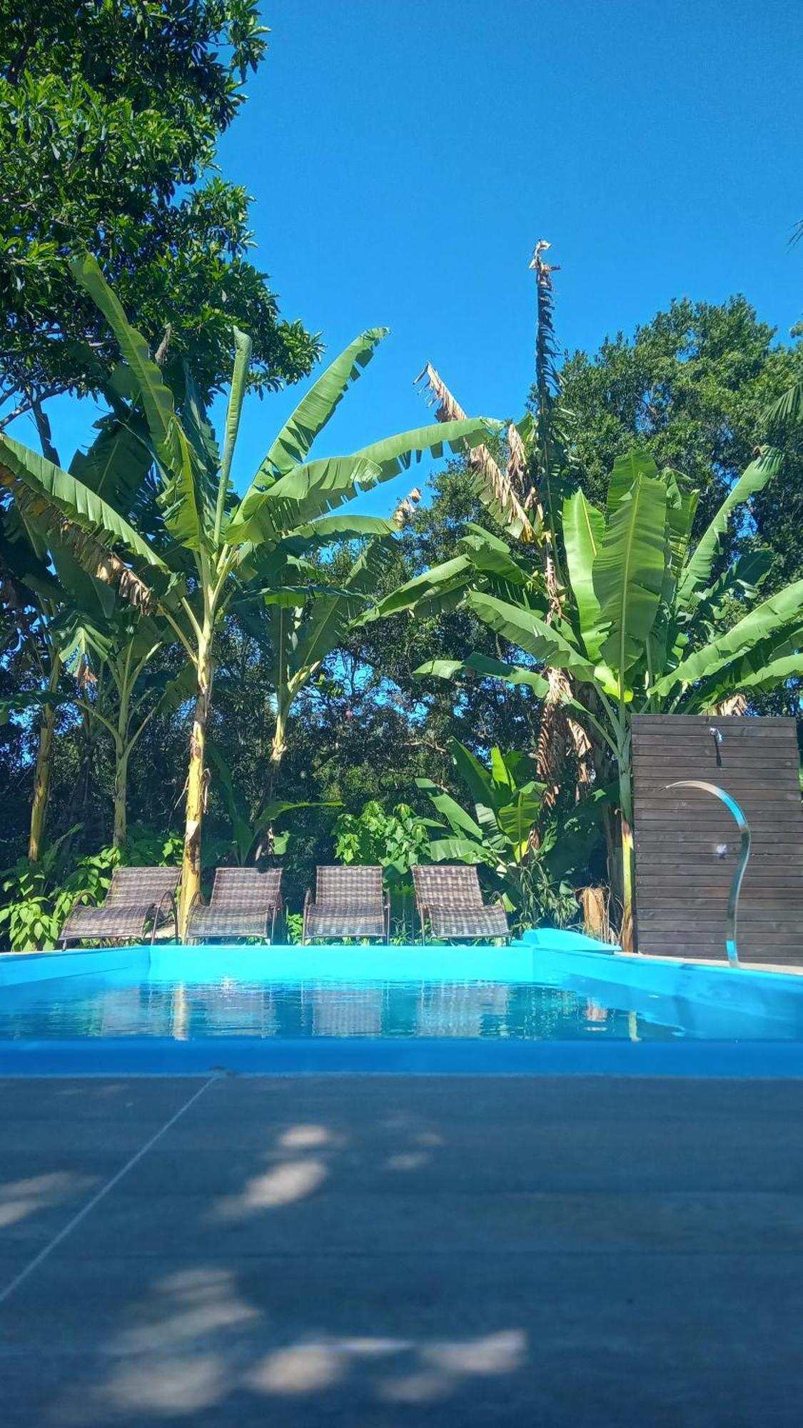 Pousada Hang Conectada Com A Natureza Florianópolis Eksteriør bilde